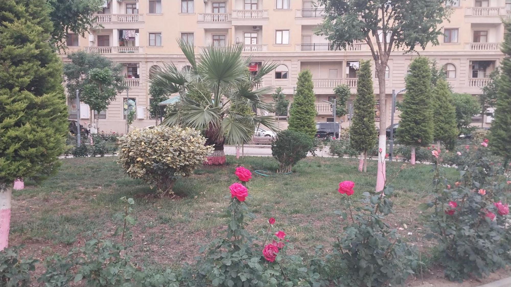 Ferienwohnung Banu House Sumqayıt Exterior foto